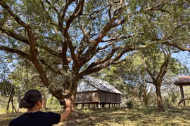 Ngôi làng Bahnar bị "bỏ quên" giữa núi rừng.