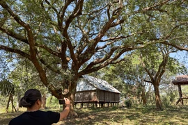 Ngôi làng Bahnar bị "bỏ quên" giữa núi rừng.