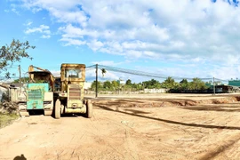 Phường Thống Nhất triển khai chợ hoa Tết Nguyên đán Bính Ngọ 2026