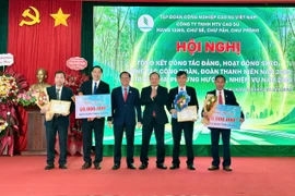 Doanh thu của 4 công ty cao su trên địa bàn Gia Lai đạt 1.623 tỷ đồng