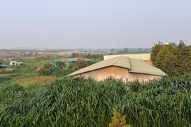 Bức xúc vì cơ sở chăn nuôi heo gây mùi hôi thối trong khu dân cư