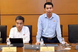 Cần cân nhắc kỹ việc giao thẩm quyền cho Chính phủ quy định chi tiết một số mức doanh thu miễn thuế.