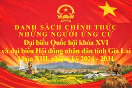 Danh sách chính thức những người ứng cử ĐBQH khóa XVI và đại biểu HĐND tỉnh Gia Lai khóa XIII, nhiệm kỳ 2021-2026 theo đơn vị bầu cử.
