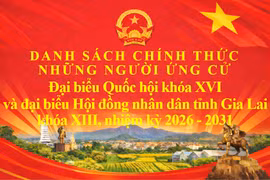Danh sách chính thức những người ứng cử ĐBQH khóa XVI và đại biểu HĐND tỉnh Gia Lai khóa XIII, nhiệm kỳ 2026-2031 theo đơn vị bầu cử.