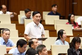 Đề nghị hoàn thiện cơ chế xử lý vi phạm đất đai, tránh khoảng trống pháp lý.