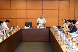 Không để phát sinh khoảng trống pháp lý khi xử lý vi phạm pháp luật