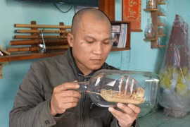 Độc đáo nghệ thuật mô hình tăm tre trong chai thủy tinh.