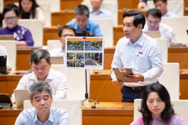 Đề xuất nhiều giải pháp phát triển đô thị theo hướng hiệu quả thực chất.
