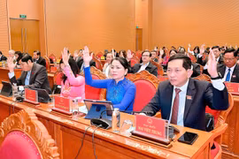 Gia Lai chấp thuận chuyển đổi gần 162 ha đất rừng để thực hiện các dự án.