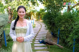 FLC zoo safari Quy Nhơn – Khám phá thế giới muôn loài
