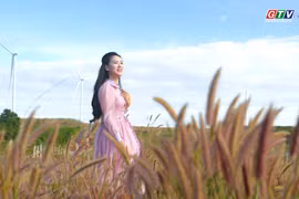 Điện gió Ia Pết