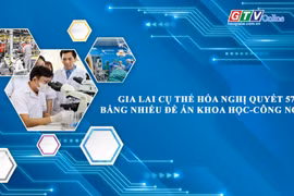 Toàn cảnh Gia Lai 24h: Cụ thể hóa Nghị quyết 57 bằng nhiều đề án khoa học-công nghệ