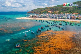 Điểm tin trưa: Gia Lai triển khai đồng bộ nhiệm vụ trọng tâm Năm Du lịch quốc gia 2026