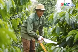 Điểm tin trưa: Nông dân Gia Lai khó mua xăng dầu phục vụ tưới cà phê