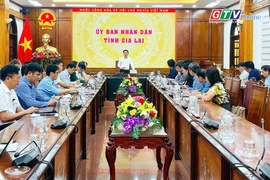 Toàn cảnh Gia Lai 24h: Chủ tịch UBND tỉnh chỉ đạo chuẩn bị cao điểm Tuần lễ khai mạc Năm Du lịch Quốc gia 2026