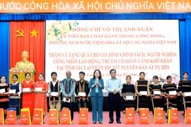 Phó Chủ tịch nước Võ Thị Ánh Xuân: Để mọi nhà vui xuân, đón Tết an toàn, lành mạnh