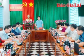 Phó Bí thư Tỉnh ủy Nguyễn Ngọc Lương: Làm việc với Ban Thường vụ Huyện ủy Đak Đoa, Chư Păh