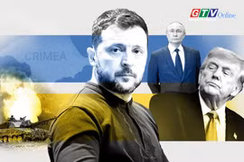 Tin thế giới 11h ngày 10-8: Tổng thống Ukraine bác khả năng nhượng bộ lãnh thổ