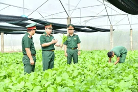 Ngành Hậu cần Quân đoàn 34 kiên định làm theo lời Bác