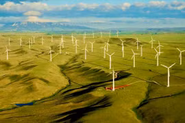 Phát triển năng lượng tái tạo gắn với tăng trưởng xanh