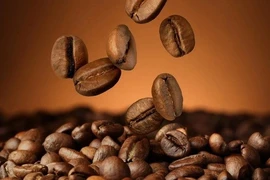 Phát hiện 6 "bảo bối" chống tiểu đường trong cà phê