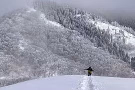 Một phụ nữ Việt Nam thiệt mạng khi leo núi tại Nhật Bản