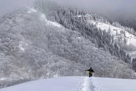 Một phụ nữ Việt Nam thiệt mạng khi leo núi tại Nhật Bản