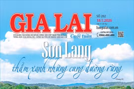 Báo Gia Lai số cuối tuần ngày 18-1-2026