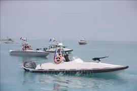 Nhật Bản khẳng định không trả phí qua eo biển Hormuz