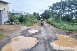 Phường Hội Phú đầu tư nâng cấp đường Nguyễn Bá Ngọc