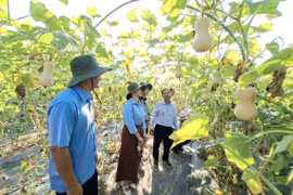 Chủ động tiếp cận công nghệ, kỹ thuật mới để nâng cao hiệu quả canh tác