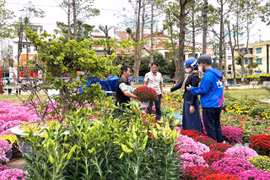 Rộn ràng khắp các chợ hoa