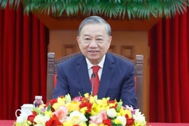 Tổng Bí thư Tô Lâm điện đàm với Tổng Bí thư, Chủ tịch nước Cộng hòa nhân dân Trung Hoa Tập Cận Bình