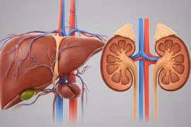 Bảo vệ gan, thận dịp tết: Bác sĩ chỉ cách ăn uống để không "quá tải"