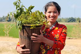Lộc xuân từ mùa hoa teng leng