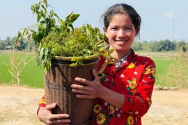 Lộc xuân từ mùa hoa teng leng