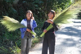 Đak Sơmei vui mùa đót