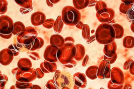 Biến thể gene hiếm chống ung thư máu mở ra hướng điều trị mới