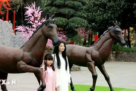 Dự báo thời tiết từ mùng 3 đến mùng 6 Tết: Bắc Bộ trời rét, Nam Bộ ngày nắng