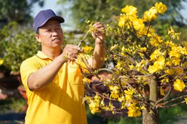 Thời tiết ngày mùng 5 Tết: Miền Nam có nơi nóng hơn 35°C