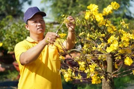 Thời tiết ngày mùng 5 Tết: Miền Nam có nơi nóng hơn 35°C