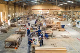 Doanh nghiệp Gia Lai đẩy mạnh tái cấu trúc ngành hàng xuất khẩu 