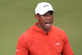 Tay golf Tiger Woods bị bắt vì say rượu lái xe gây tai nạn tại Mỹ