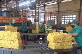 Doanh nghiệp ngành cao su chủ động thích ứng với EUDR