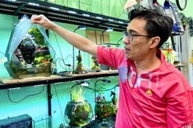 Thu vào tầm mắt muôn trùng núi non