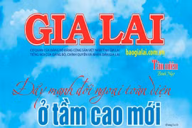 Báo Gia Lai số Tân niên Bính Ngọ 