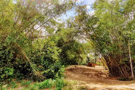 Trên từng giọt rượu quê nhà