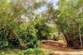 Trên từng giọt rượu quê nhà