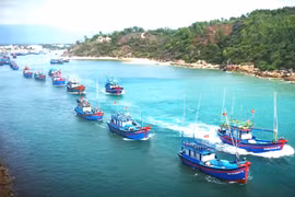 Tái cấu trúc ngành thủy sản theo hướng hiện đại, bền vững