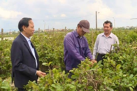 Người khuyết tật nỗ lực lao động, lan tỏa tinh thần vượt khó